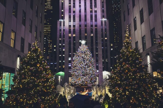 NYC Holiday Lights and Magic Pedicab Tour - Good To Know  