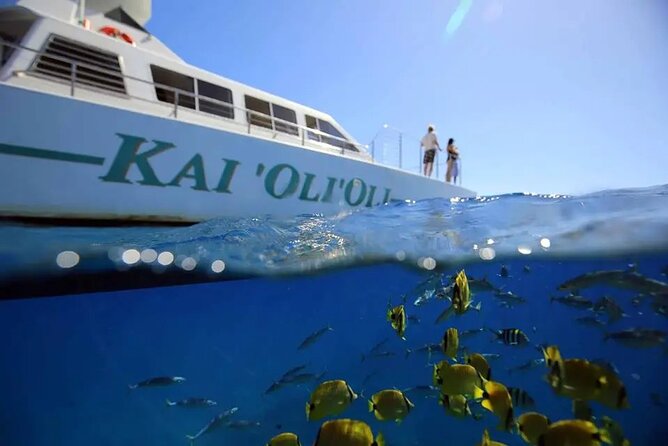 Oahu Private Sunset Snorkel and Dolphin Watch with Hot Buffet - Good To Know