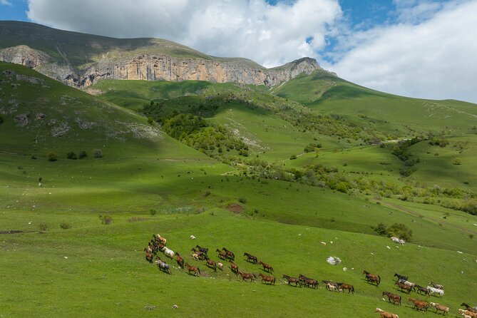 Off Road Tour to Dimats Mount Dilijan Armenia - Good To Know  