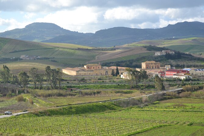 Oil Tour in Historic Baglio Florio Adamo with Lunch - An in-depth look at the Sicilian olive oil journey