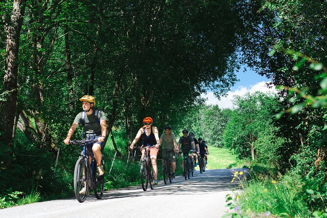 Olden: Fjord e-bike tour - Good To Know