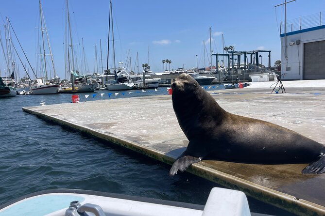 One Hour Cruise Around Marina del Rey - Detailed Breakdown of the Itinerary