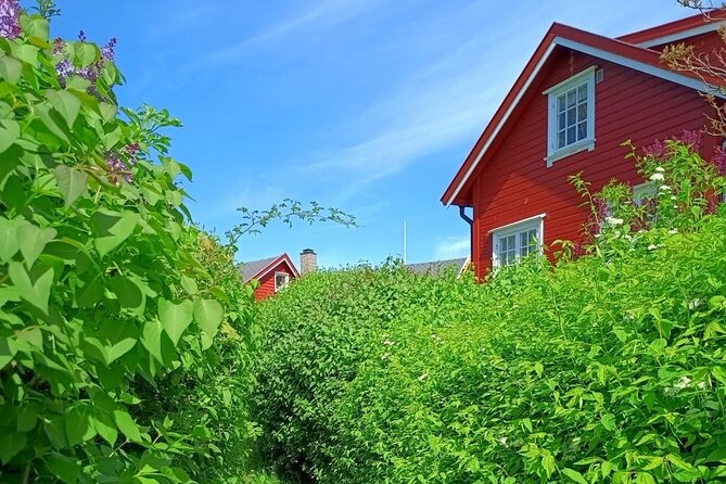 Oslofjord Island Hopping Tour - Exploring the Oslofjord Island Hopping Tour: A Practical Guide