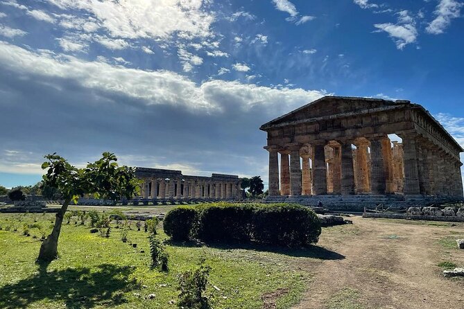 Paestum Whole Family Private Tour - Introduction