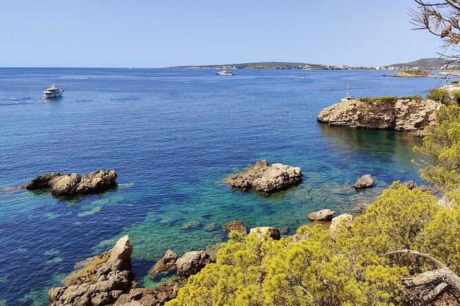Palma de Mallorca: Small Group Tour by Locals in Hidden Coves - Palma de Mallorca: Small Group Tour by Locals in Hidden Coves