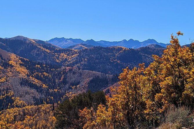 Park City Hiking Activity with Local Guide - Guided Expertise and Local Knowledge