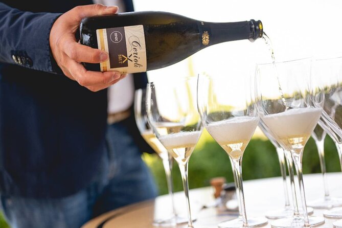 Parma Hills and Wine Tasting with Food Platter - What to Expect from the Parma Hills and Wine Tasting Tour