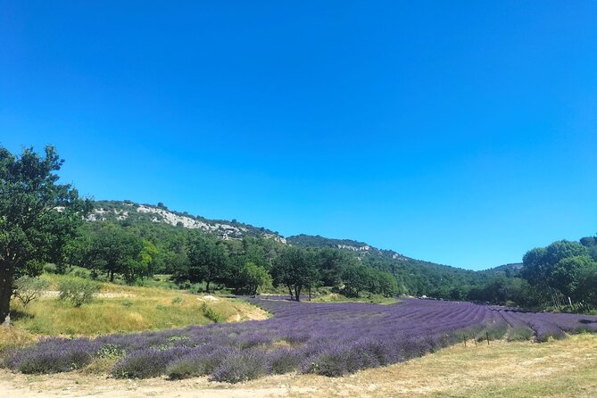 Pearls of Luberon : Gordes, Rousillon & Sénanque Abbey - Good To Know