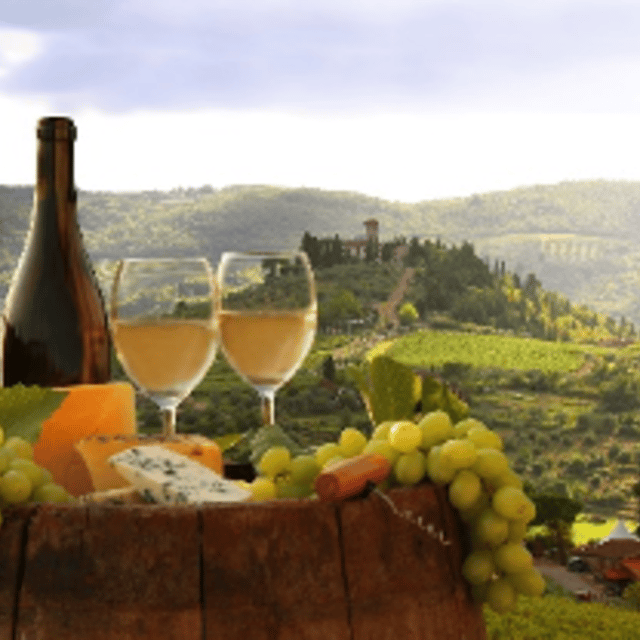 Piedmont Private Wine and Food Tour with Tastings - Good To Know