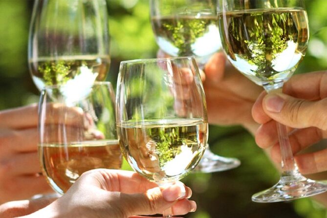 Piran wine & food walking tour - Good To Know: