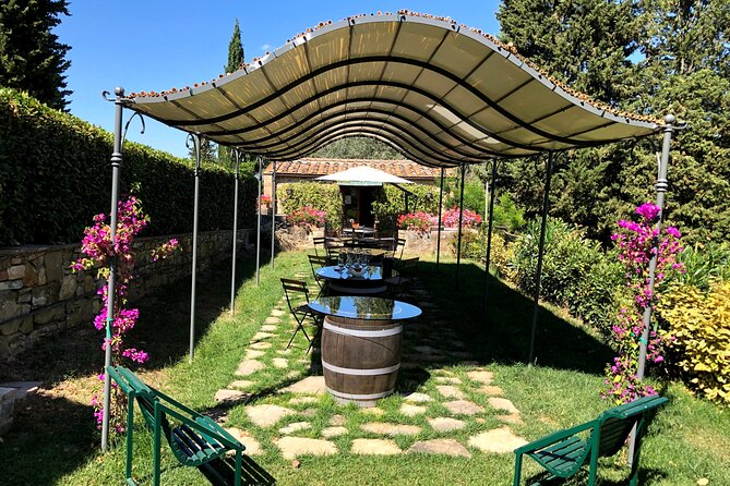Pisa, Lucca & Winery Private Tour from Livorno port - An In-Depth Look at the Pisa, Lucca & Winery Private Tour from Livorno Port