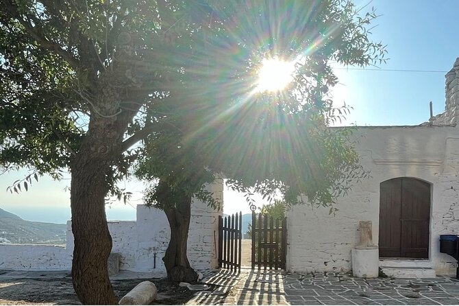 Poly's Island Guided Tour in Folegandros - Introduction