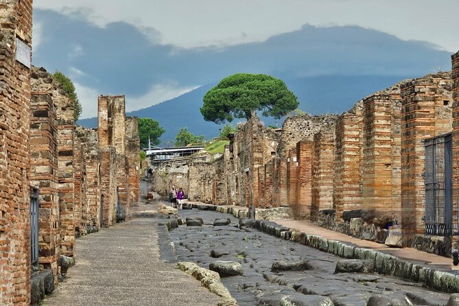 Pompeii Private Guided Tour from Naples - Good To Know