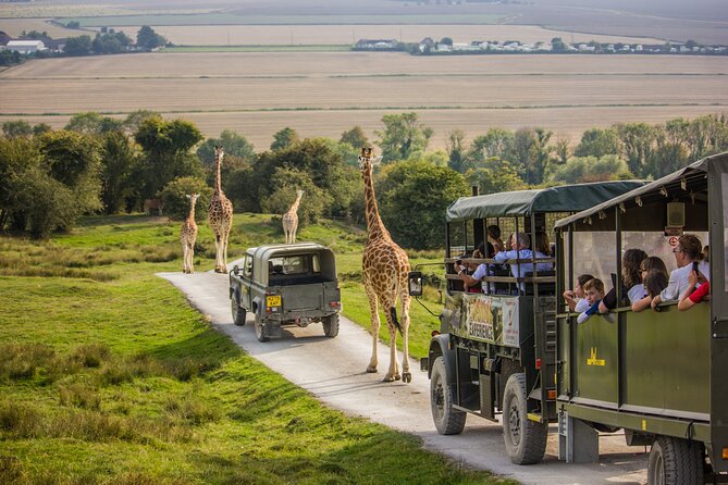 Port Lympne Day Ticket - Good To Know