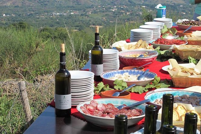 Private 8-Hour Tour of Four Etna Wineries with Tasting - Good To Know