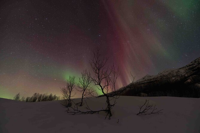 Private Aurora Hunting with Professional Photographer from Alta - Good To Know