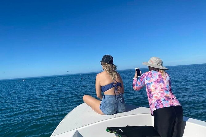 Private Day Boating Charter out of Sarasota, Floridsa - Sarasota’s Private Day Boating Experience: What’s It All About?