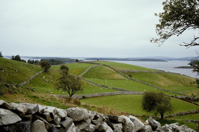 Private Day Tour Cliffs of Moher from Dublin - Good To Know