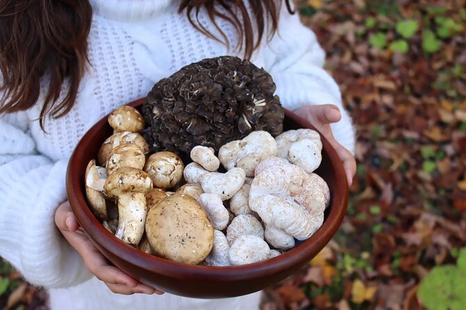 Private Daytrip for Truffle Mushroom Foraging and Wine Tasting - Good To Know