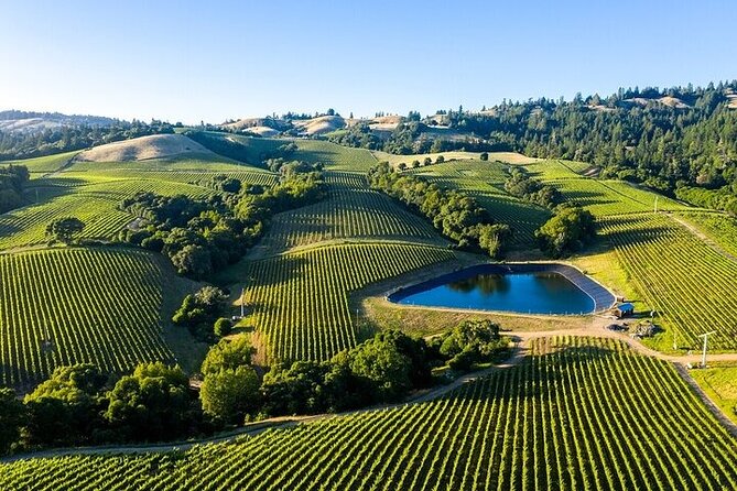 Private Enchanted Napa & Sonoma Wine Tour from Cupertino - Why Choose This Tour?