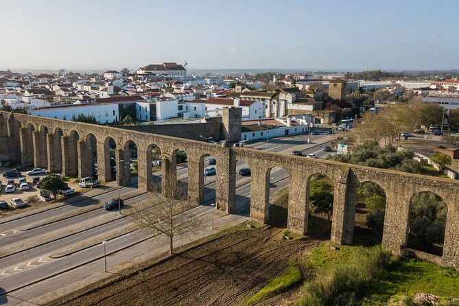 Private Full-Day Historical Tour of Medieval Évora - Why Choose This Tour? An In-Depth Look  