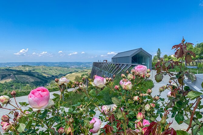 Private Full Day tour with fellow foodie as your guide - Discover the Flavors of Langhe: A Complete Review of the Private Full Day Tour