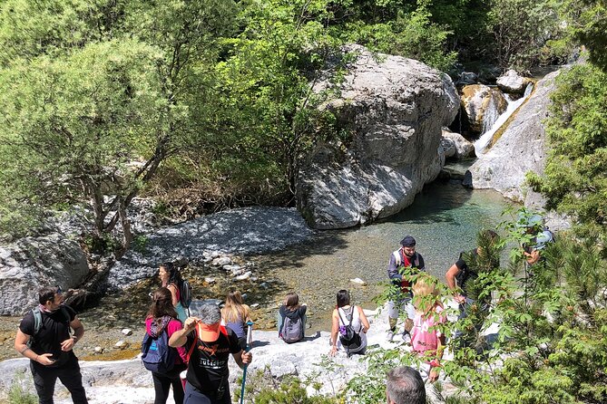 Private Guided Hiking in Mt Olympus National Park - Exploring the Mt Olympus National Park Hiking Tour  