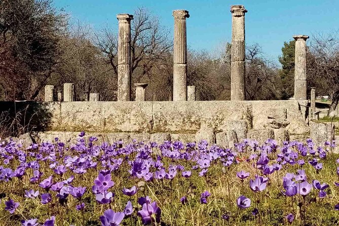 Private Guided Tour of the Archaeological Site and Museum of Olympia - Exploring the Ancient World: The Private Guided Tour of Olympia