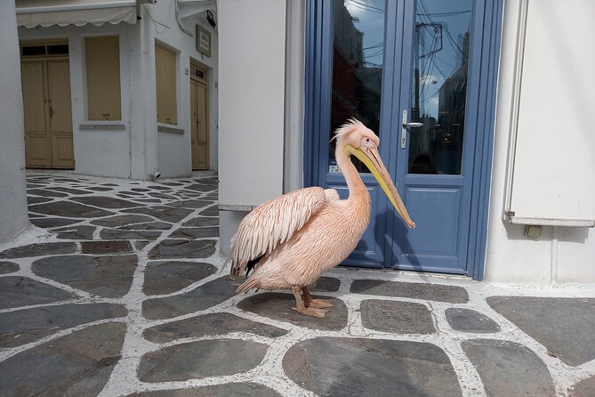 Private Guided Walking Tour in Mykonos Town - Exploring Mykonos in a Private Guided Walk