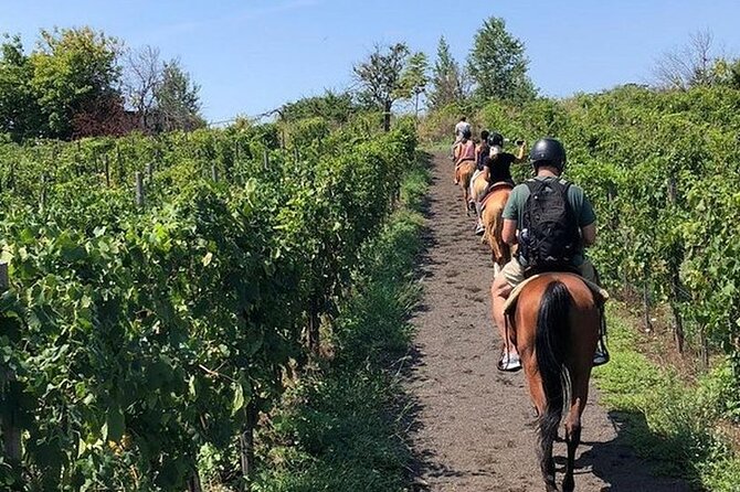 Private Horseback Riding Tour of the Vineyards in Verona with Wine Tasting - Good To Know