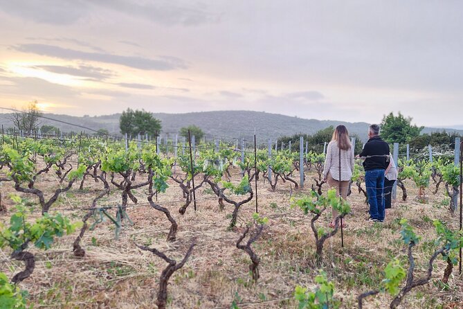 Private Hvar Cooking Classes, Dinners & 'Poje' Field Tour! - Good To Know