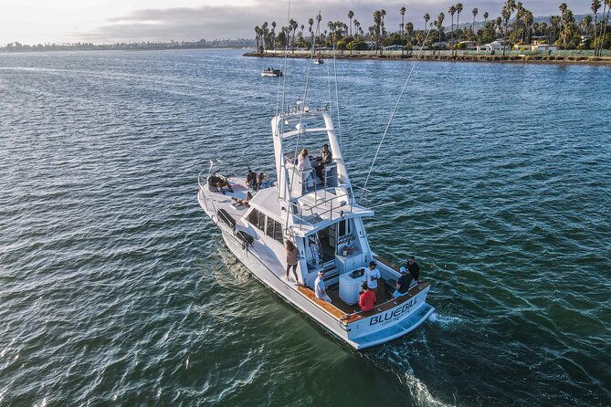 Private Luxury Whale Watching Tour in San Diego - Why This Tour Might Be Perfect for You