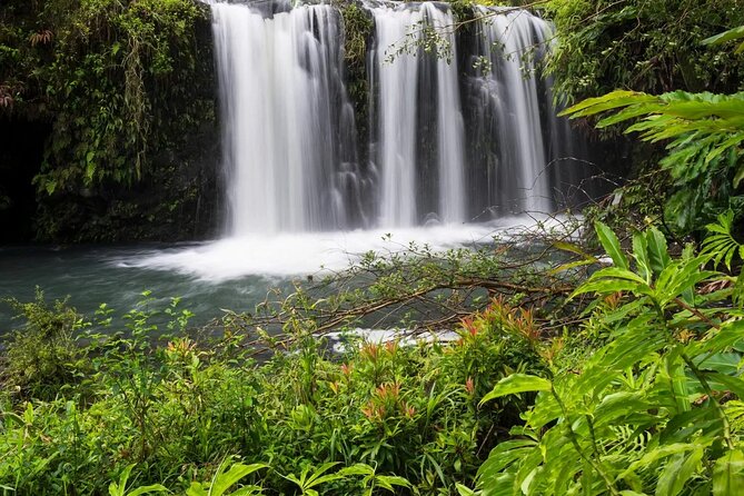 Private Road to Hana Rainforest & Waterfall Experience from Maui - Introducing the Private Road to Hana Rainforest & Waterfall Experience from Maui