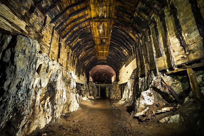Private Round Trip to Project Riese Including Tickets - What Makes This Tour Stand Out?