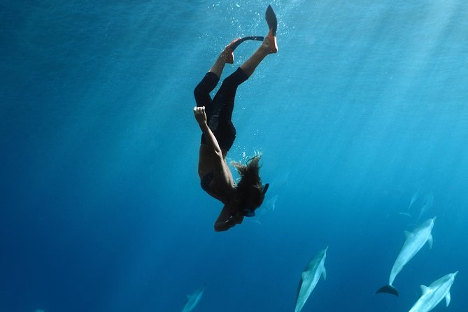 Private Snorkel Tour 3 Hrs 1 stop from Kaanapali Beach - Good To Know