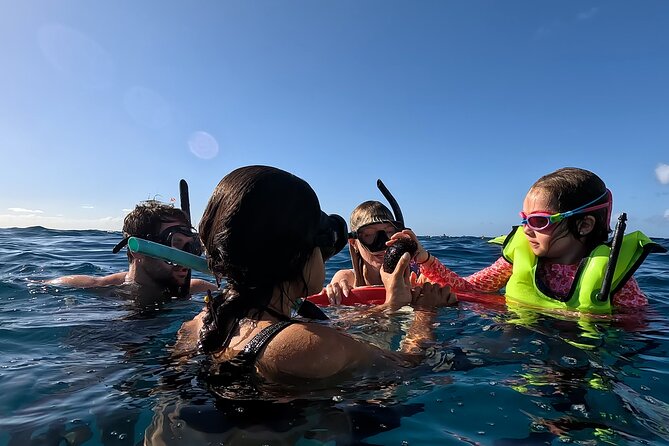 Private Snorkeling Cruise in Waikiki - Good To Know