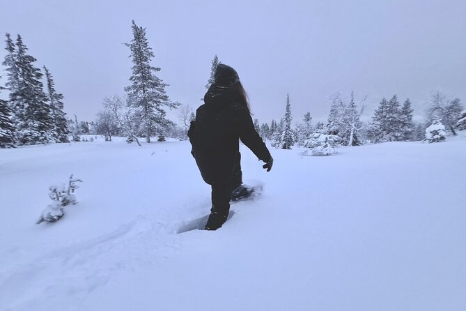 Private: Snowshoeing Safari in spectacular National Park - Good To Know