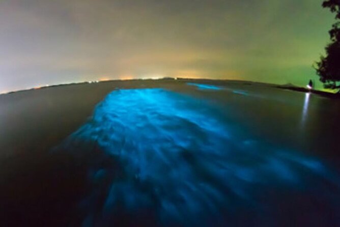 Private Sunset and Bioluminescence Tours in Cocoa Beach - Exploring the Private Sunset and Bioluminescence Tours in Cocoa Beach