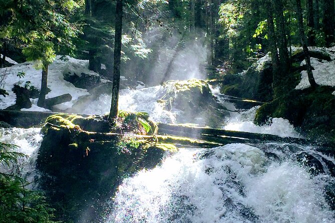 Private Tour at The Hood-Columbia Loop: Timberline, Orchards, and Waterfalls - Introduction