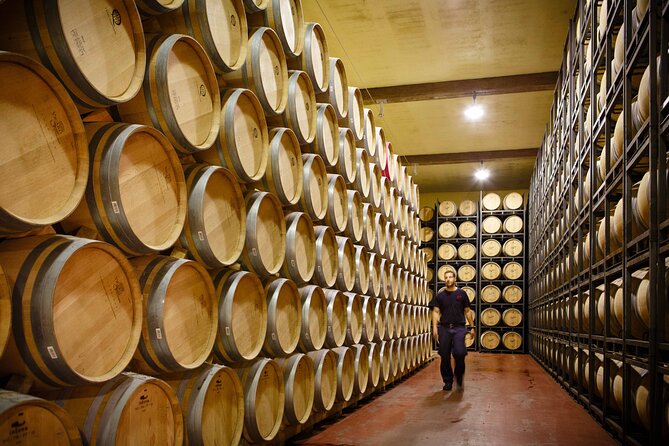 Private tour Bilbao to La Rioja A day of Winery Tours and Tasting - Good To Know