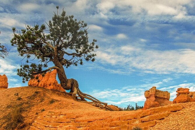 Private Tour Colorado Plateau from Sedona - Mogollon Rim: A Geological Marvel