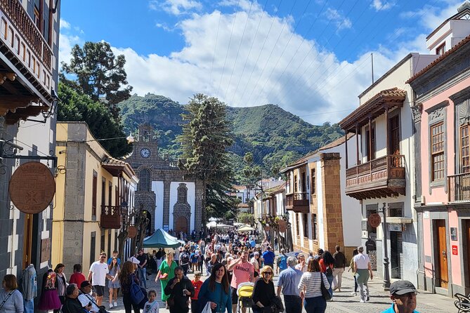 Private Tour from the Port of Las Palmas to Teror Firgas Arucas - Good To Know