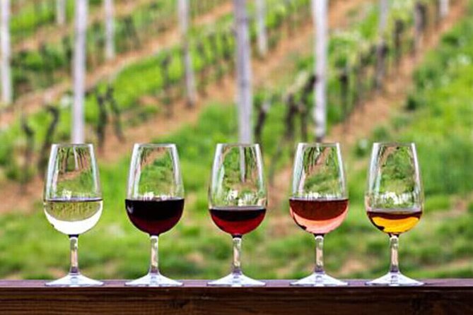 Private Tour in the Douro with Family Vineyards and Miradouro - Good To Know