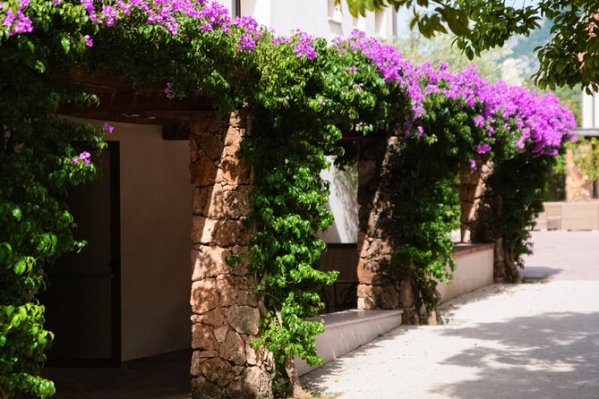 Private Tour: Paestum, Mozzarella Bufala guided tour and lunch - Good To Know