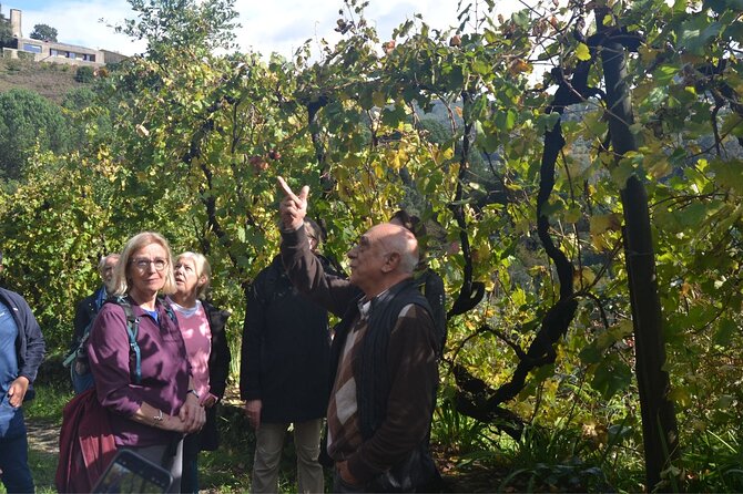 Private Vinho Verde Region Wine Tour from Porto Including Lunch - Good To Know