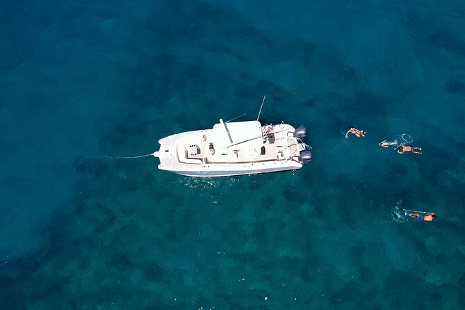 Private Whale Watching Trip from Oahu - Good To Know