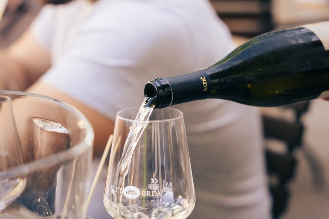 Private Wine Tasting Experience in Ljubljana - Introducing the Private Wine Tasting Experience in Ljubljana