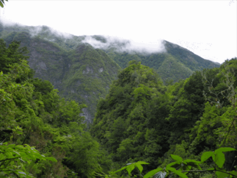 Queimadas Caldeirão Verde Walking tour with guide