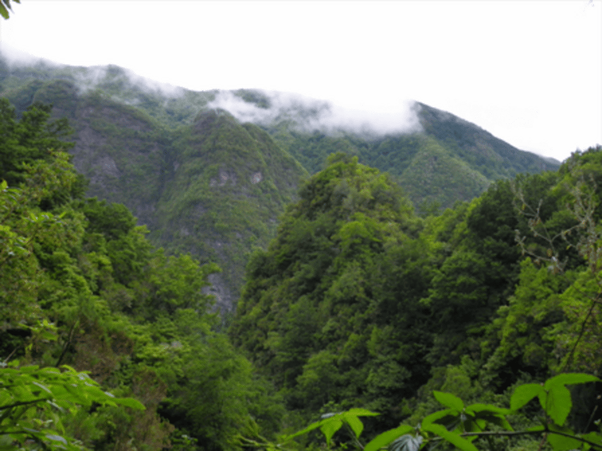 Queimadas Caldeirão Verde Walking tour with guide - Good To Know