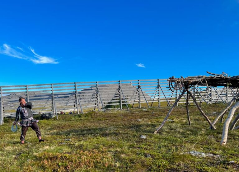 Reindeer and Stories: A Sami Cultural Adventure
